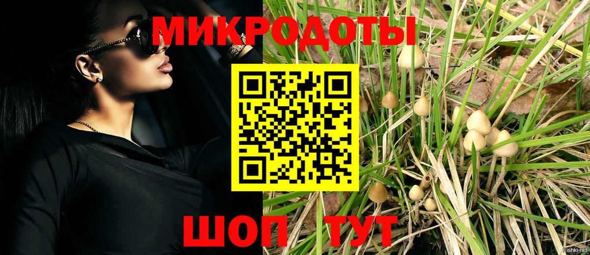 Галлюциногенные грибы прущие грибы Улан-Удэ