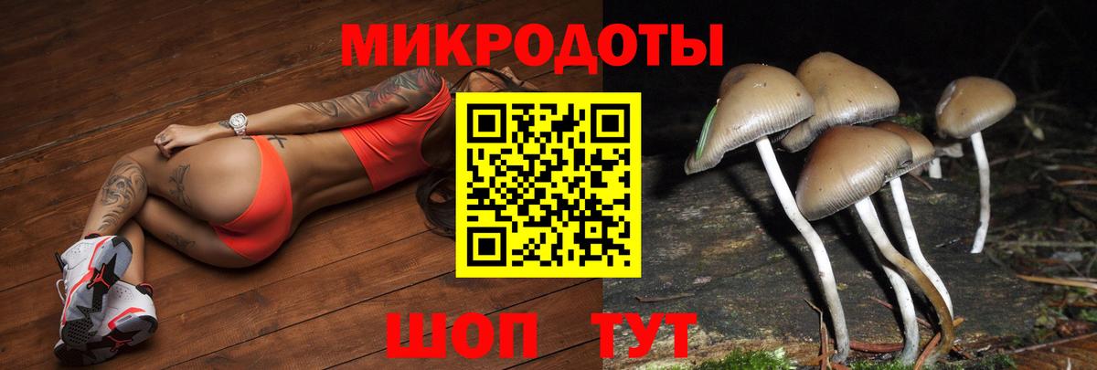Улан-Удэ  Псилоцибиновые грибы прущие грибы  Вход с VPN 